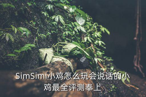 智能聊天機(jī)器人app英文，simsimi是系統(tǒng)與你對(duì)話還是真人操作對(duì)話的
