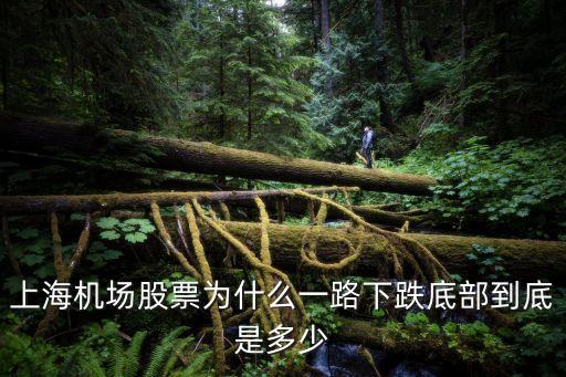 上海機(jī)場(chǎng)股票為什么一路下跌底部到底是多少