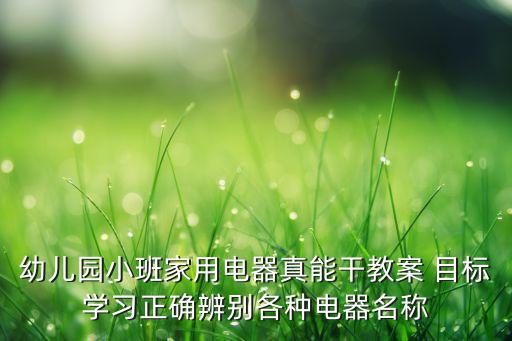 幼兒園小班家用電器真能干教案 目標(biāo)學(xué)習(xí)正確辨別各種電器名稱