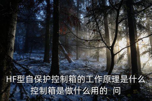 HF型自保護控制箱的工作原理是什么控制箱是做什么用的  問