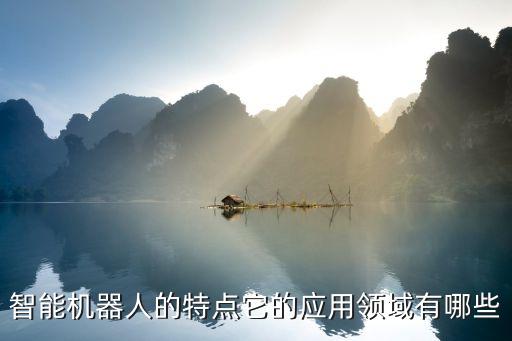 智能機(jī)器人的概述，智能機(jī)器人簡介