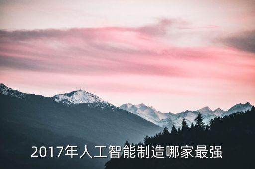 2017年人工智能制造哪家最強(qiáng)