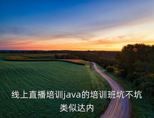 線上直播培訓(xùn)java的培訓(xùn)班坑不坑類似達(dá)內(nèi)