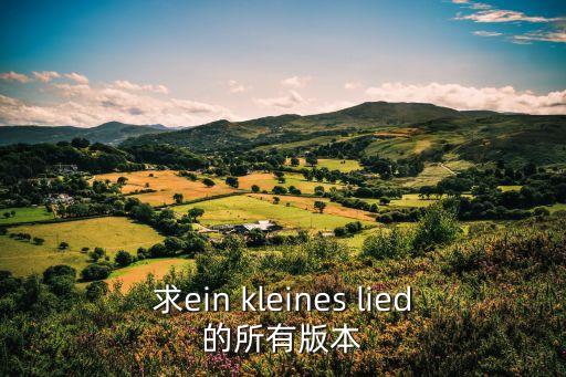 求ein kleines lied的所有版本