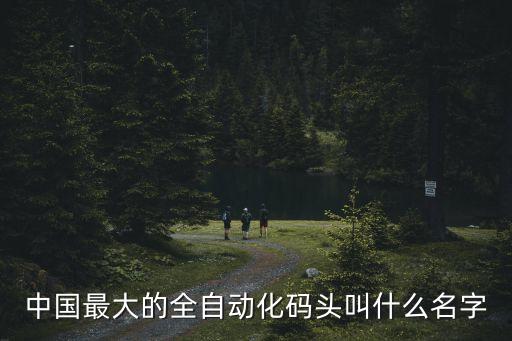 中國(guó)現(xiàn)在有多少個(gè)自動(dòng)化碼頭，中國(guó)有多少個(gè)高碼頭