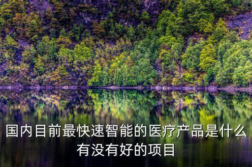 國內目前最快速智能的醫(yī)療產(chǎn)品是什么有沒有好的項目
