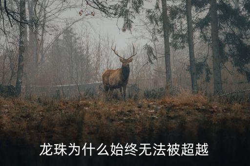 龍珠為什么始終無法被超越