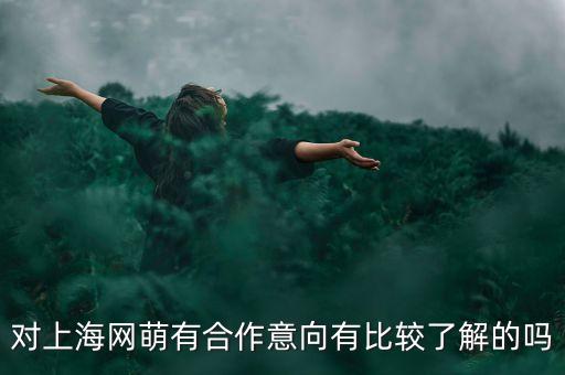 對上海網(wǎng)萌有合作意向有比較了解的嗎