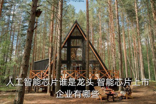 人工智能上市公司有哪些龍頭，人工智能芯片誰(shuí)是龍頭 智能芯片上市企業(yè)有哪些
