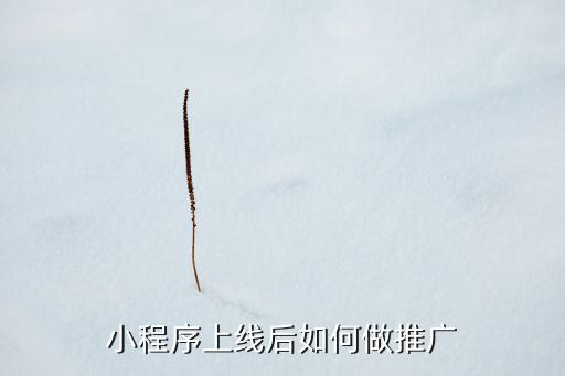 小程序拉新推廣平臺，哪里是能做小程序推廣的呢求介紹啊