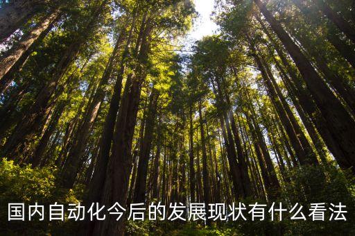 國內自動化今后的發(fā)展現(xiàn)狀有什么看法