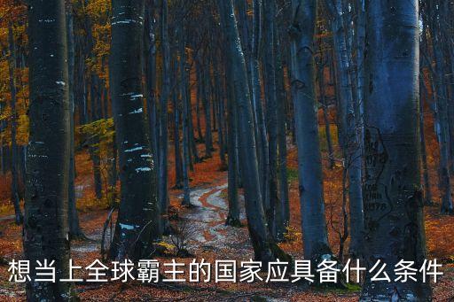 想當(dāng)上全球霸主的國家應(yīng)具備什么條件