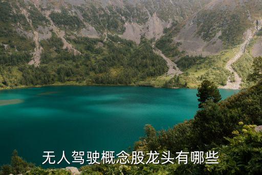 無人駕駛概念股龍頭有哪些