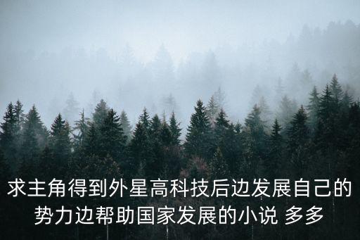 求主角得到外星高科技后邊發(fā)展自己的勢力邊幫助國家發(fā)展的小說 多多