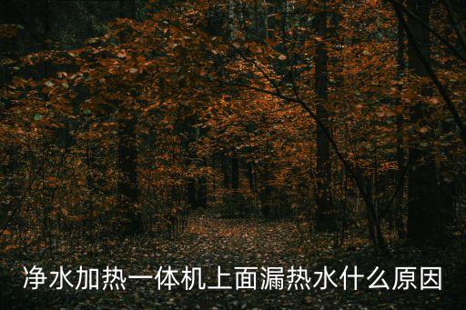 凈水加熱一體機上面漏熱水什么原因