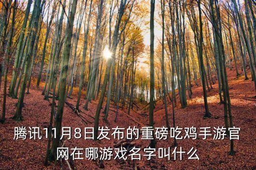 騰訊11月8日發(fā)布的重磅吃雞手游官網(wǎng)在哪游戲名字叫什么
