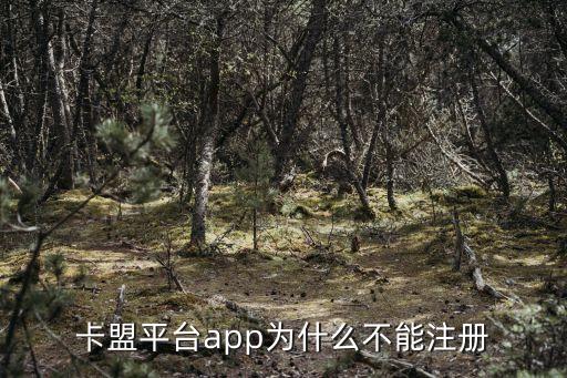 卡盟平臺(tái)app為什么不能注冊(cè)