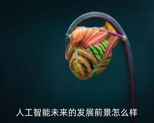 人工智能未來的發(fā)展前景怎么樣