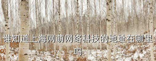 誰(shuí)知道上海網(wǎng)萌網(wǎng)絡(luò)科技的地址在哪里嗎