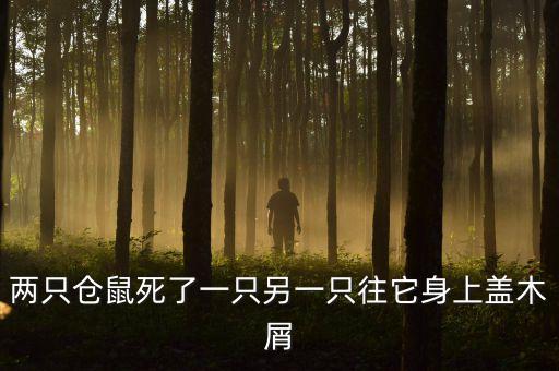 兩只倉鼠死了一只另一只往它身上蓋木屑