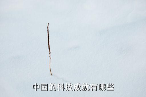 中國(guó)的科技成就有哪些