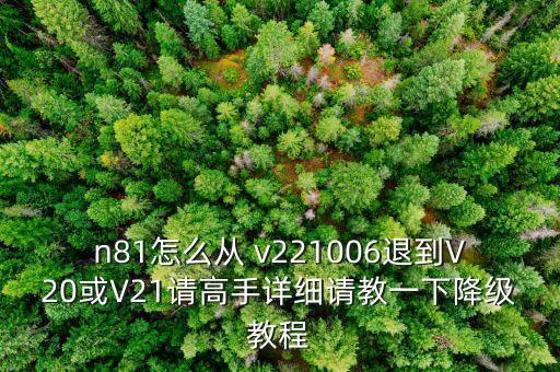 金鑼自動(dòng)化辦公系統(tǒng)v22，n81怎么從 v221006退到V20或V21請(qǐng)高手詳細(xì)請(qǐng)教一下降級(jí)教程