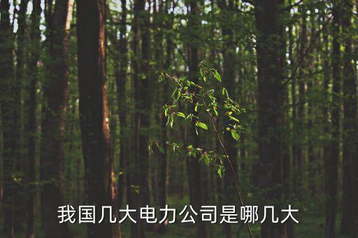 我國(guó)幾大電力公司是哪幾大