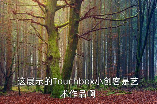 這展示的Touchbox小創(chuàng)客是藝術作品啊