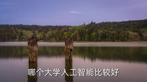 哪所學(xué)校人工智能專業(yè)最好，哪個大學(xué)人工智能比較好