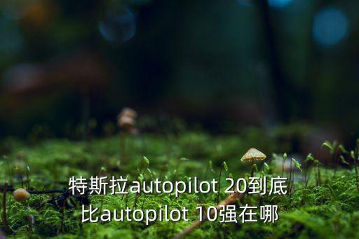 特斯拉autopilot 20到底比autopilot 10強(qiáng)在哪