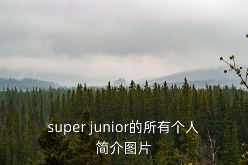 米課華超個(gè)人簡(jiǎn)介，emilie simon的個(gè)人介紹