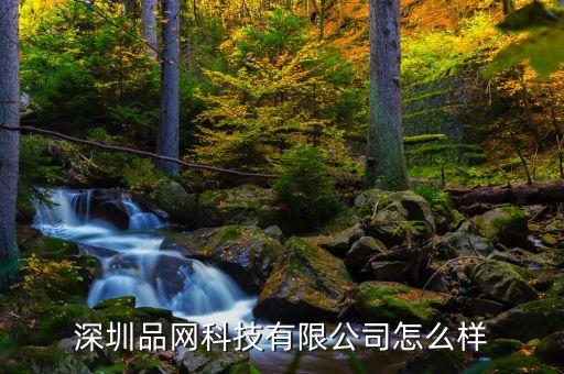 深圳品網(wǎng)科技有限公司怎么樣