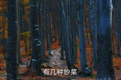 有幾種炒菜