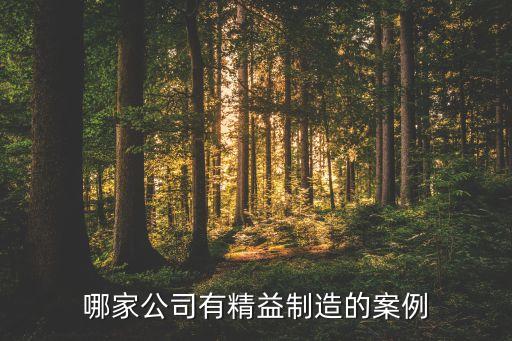 40個(gè)精益生產(chǎn)經(jīng)典案例，在甲板機(jī)械企業(yè)有沒有推行精益生產(chǎn)的例子