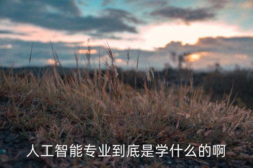 人工智能專業(yè)到底是學(xué)什么的啊