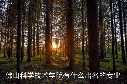 佛山科學(xué)技術(shù)學(xué)院有什么出名的專業(yè)