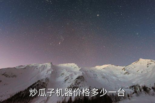 炒瓜子機器價格多少一臺