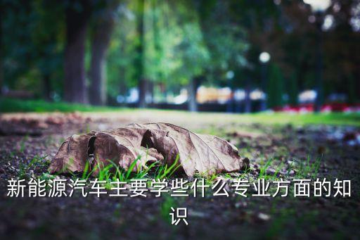 新能源汽車相關(guān)，新能源汽車專業(yè)學(xué)什么