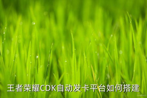 發(fā)卡網(wǎng)自助搭建軟件，有什么平臺(tái)可以不用綁定銀行卡就可以發(fā)卡的軟件平臺(tái) 或者是搭建 大