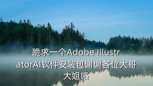跪求一個Adobe IllustratorAI軟件安裝包謝謝各位大哥大姐咯