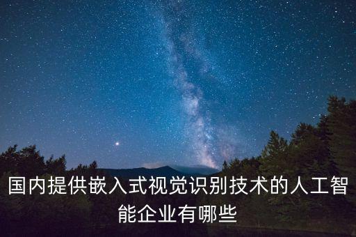 國內(nèi)提供嵌入式視覺識別技術(shù)的人工智能企業(yè)有哪些