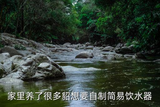 家里養(yǎng)了很多貂想要自制簡易飲水器