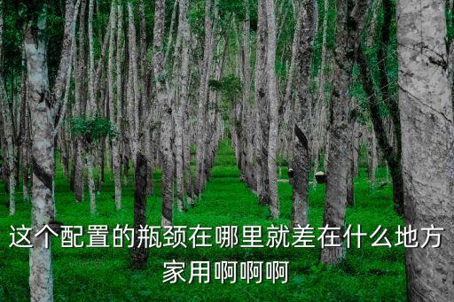 這個(gè)配置的瓶頸在哪里就差在什么地方家用啊啊啊
