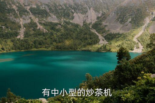 目前最好小型炒茶機(jī)，廣東哪里有小型炒茶機(jī)買