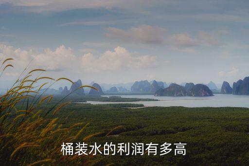 開桶裝水廠一年利潤，我想開一家桶裝礦泉水公司年利潤在20萬元左右我要準備什么