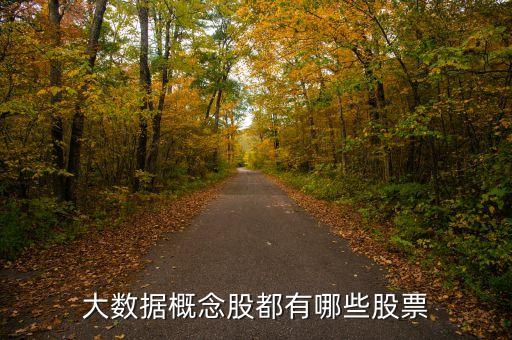 數(shù)字經(jīng)濟(jì)相關(guān)股票有哪些，數(shù)字經(jīng)濟(jì)概念股有哪些