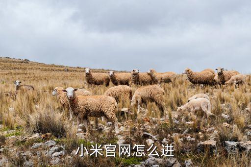 米家官網(wǎng)，請問小米官方網(wǎng)站是多少