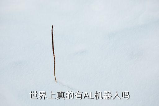 ai對(duì)話機(jī)器人是真的嗎，世界上真的有AL機(jī)器人嗎