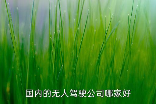 國(guó)內(nèi)的無(wú)人駕駛公司哪家好