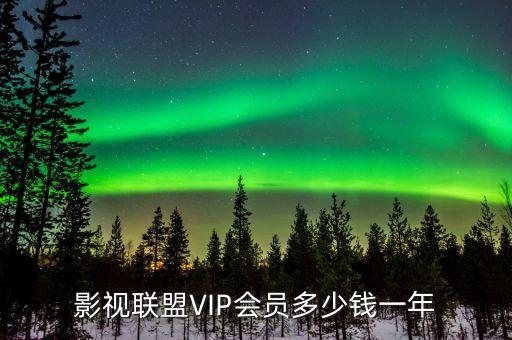 影視聯(lián)盟VIP會(huì)員多少錢(qián)一年